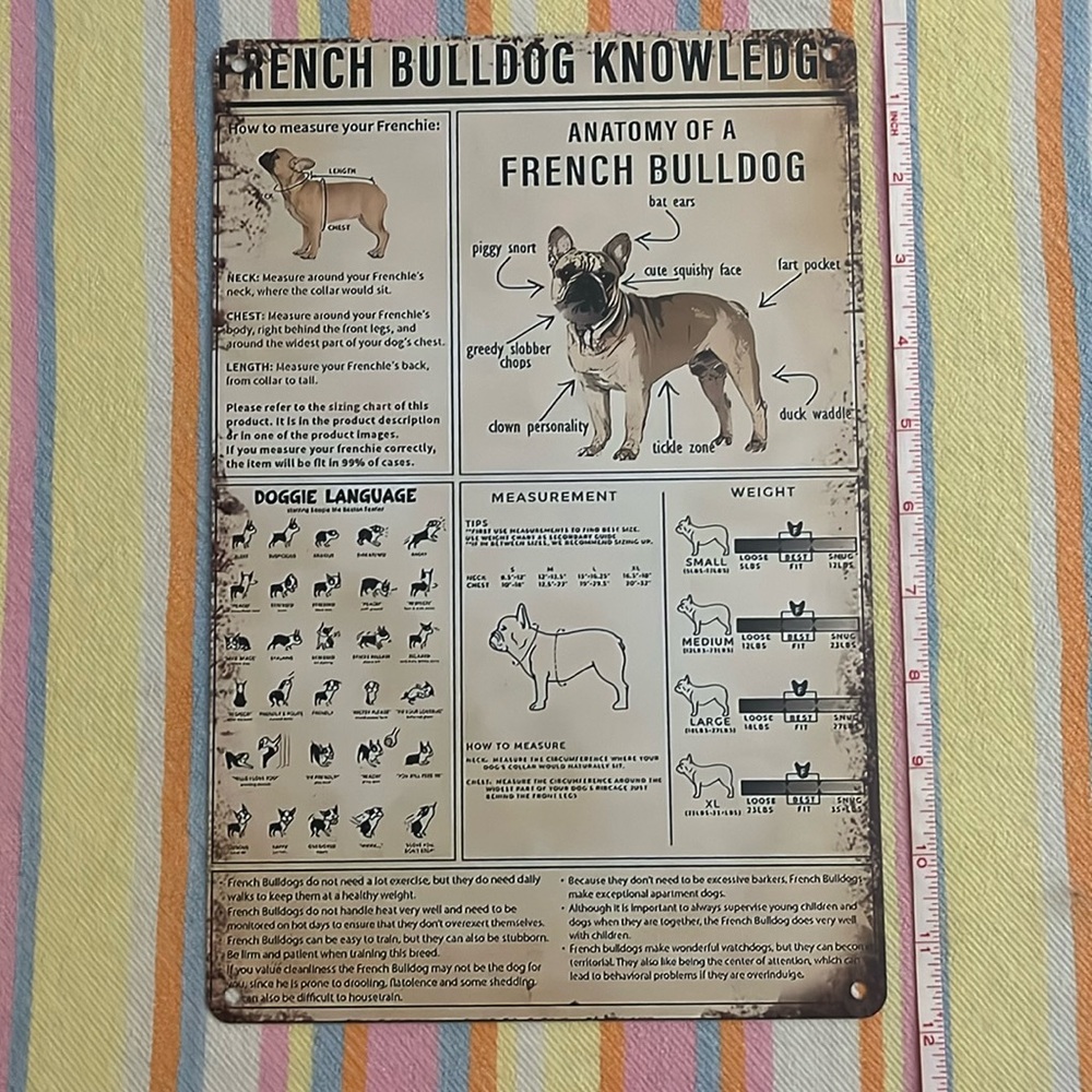 French Bulldog Knowledge Metal Sign ~ All Kinds of Frenchie Facts 🐾 NEW!